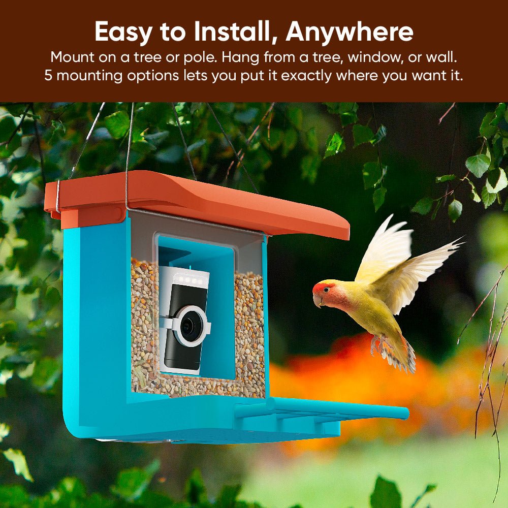 Wyze Bird Feeder – Smart Wildlife Camera - Image 4