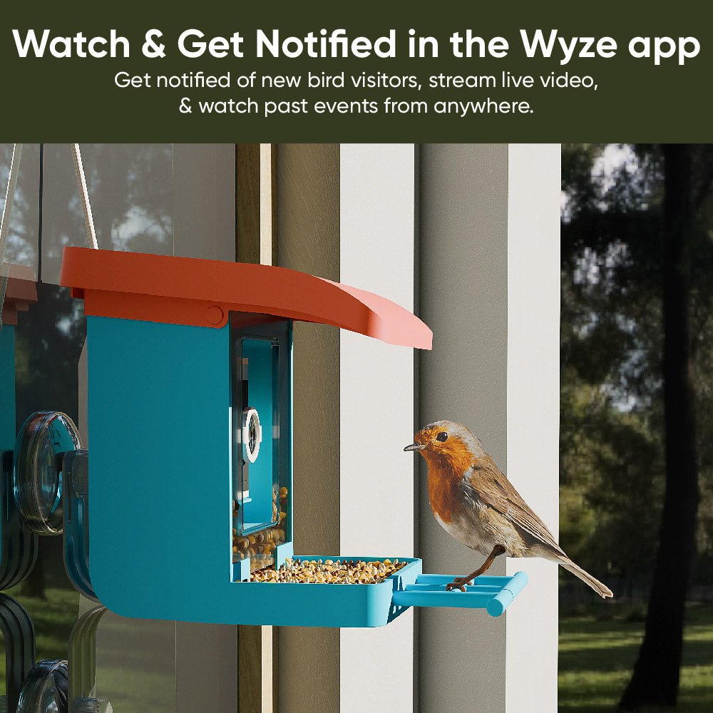 Wyze Bird Feeder – Smart Wildlife Camera - Image 7