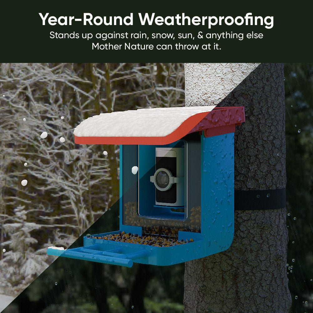 Wyze Bird Feeder – Smart Wildlife Camera - Image 3