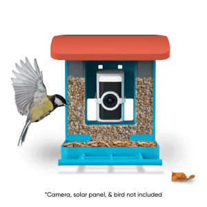 Wyze Bird Feeder – Smart Wildlife Camera