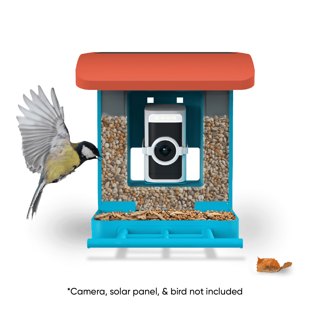 Wyze Bird Feeder – Smart Wildlife Camera
