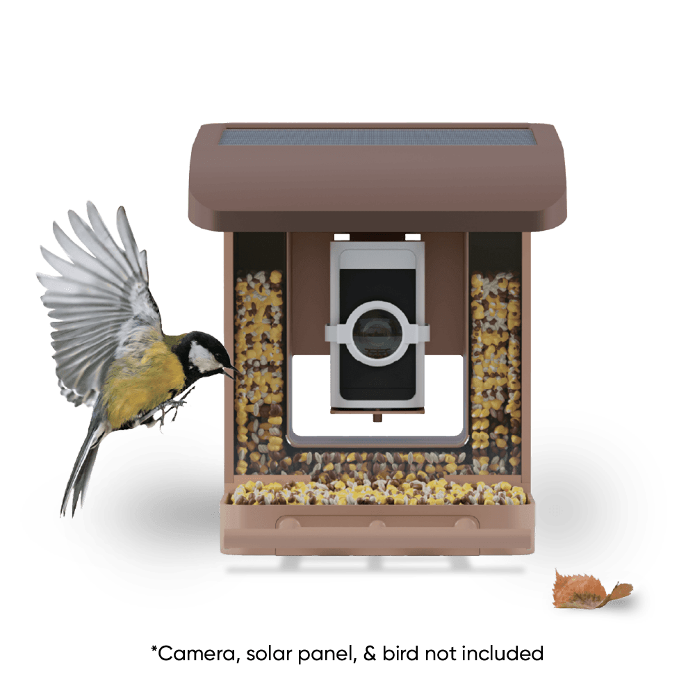 Wyze Bird Feeder – Smart Wildlife Camera - Image 10