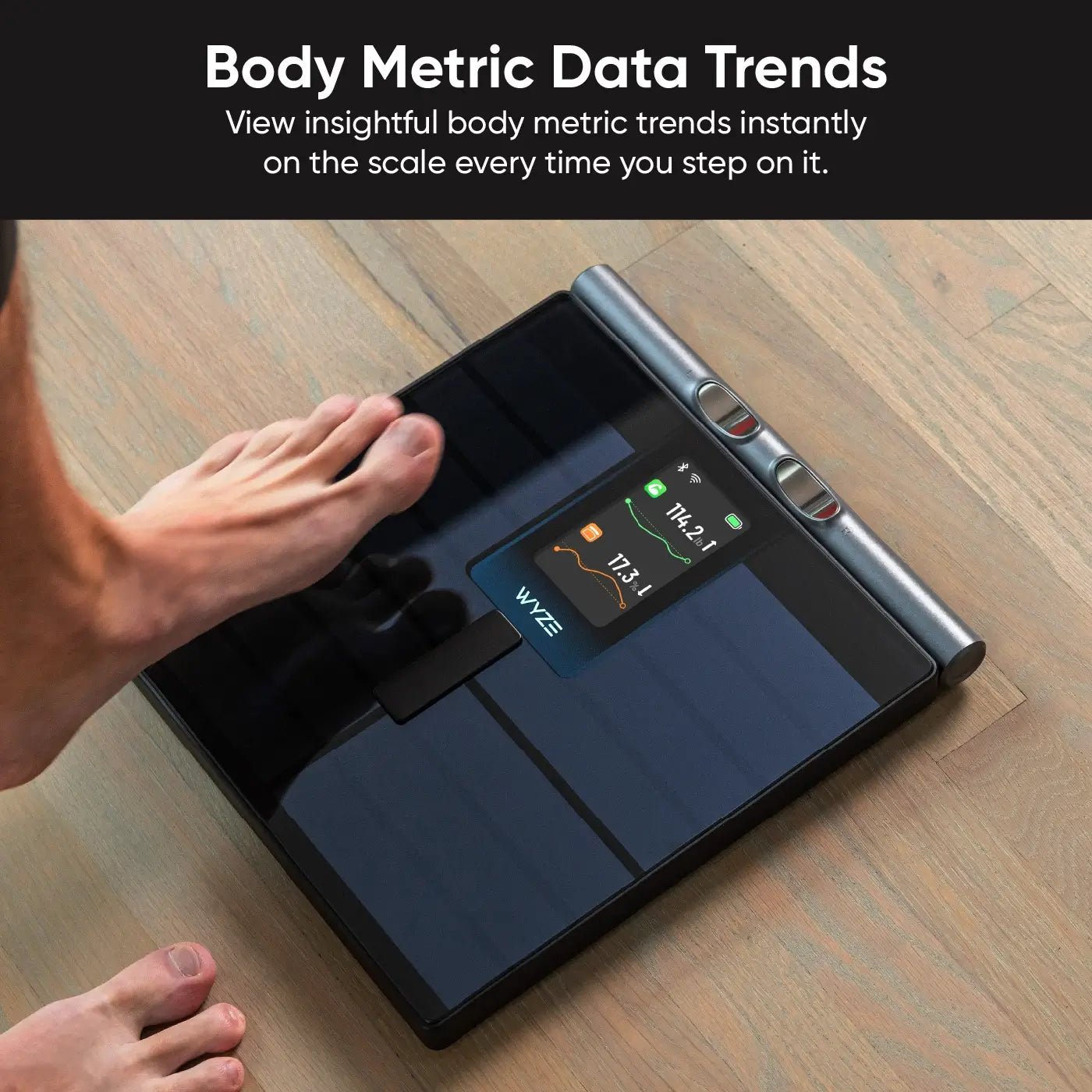 Wyze Scale Ultra BodyScan – Advanced Smart Body Composition Scale - Image 10
