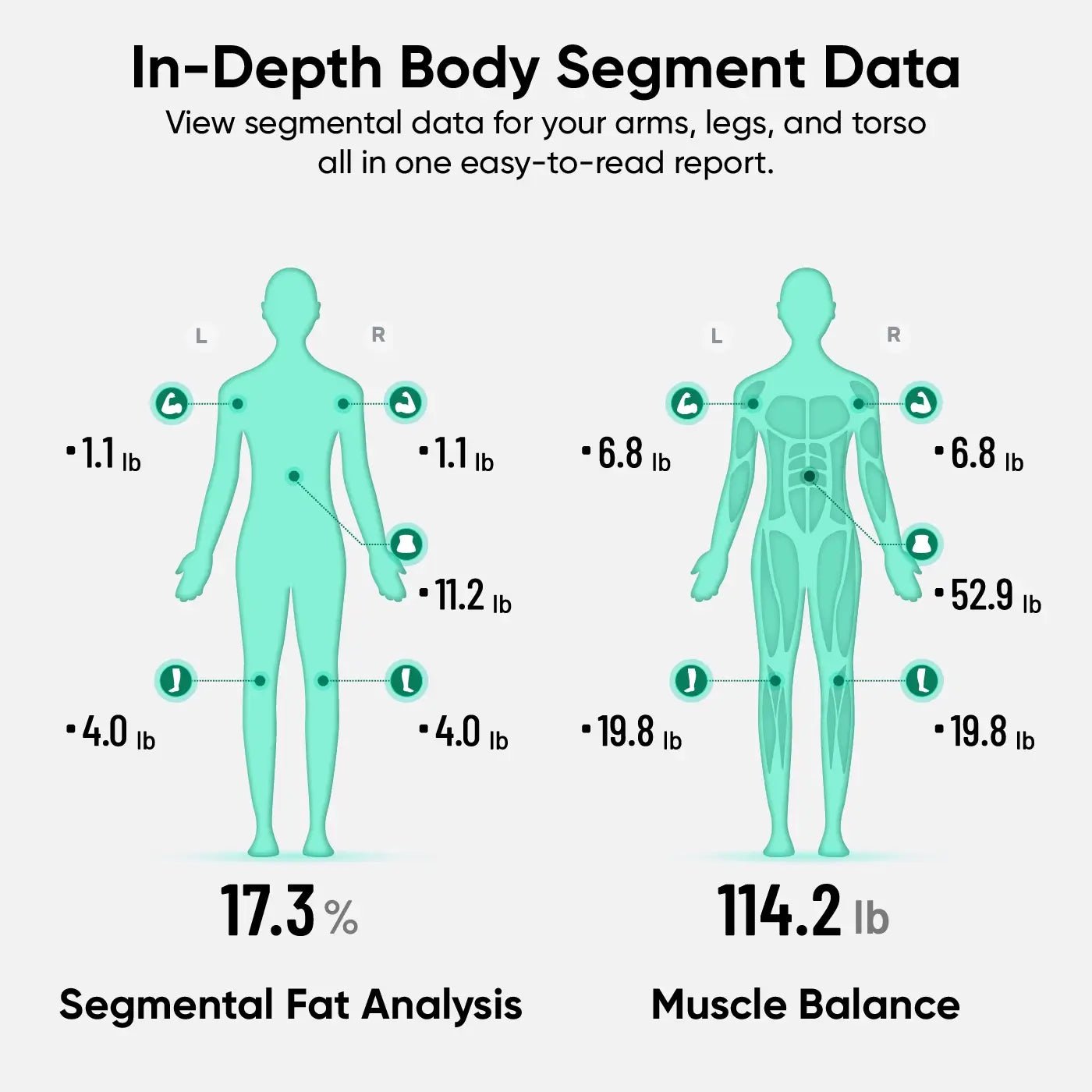 Wyze Scale Ultra BodyScan – Advanced Smart Body Composition Scale - Image 6