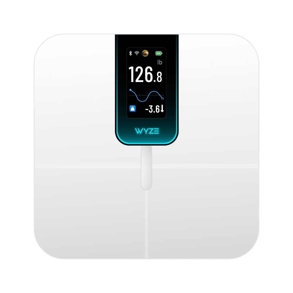 Wyze Scale Ultra | Smart Scale with Wi-Fi, 13 Body Metrics - Image 2